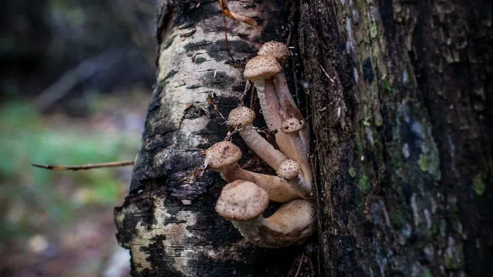 Фото: REGIONS/Роман Малышенко