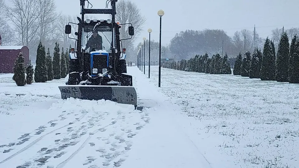Фото: МедиаБанк Подмосковья/Ирина Матвеева