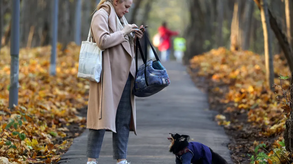 Фото: ТАСС/Сергей Фадеичев