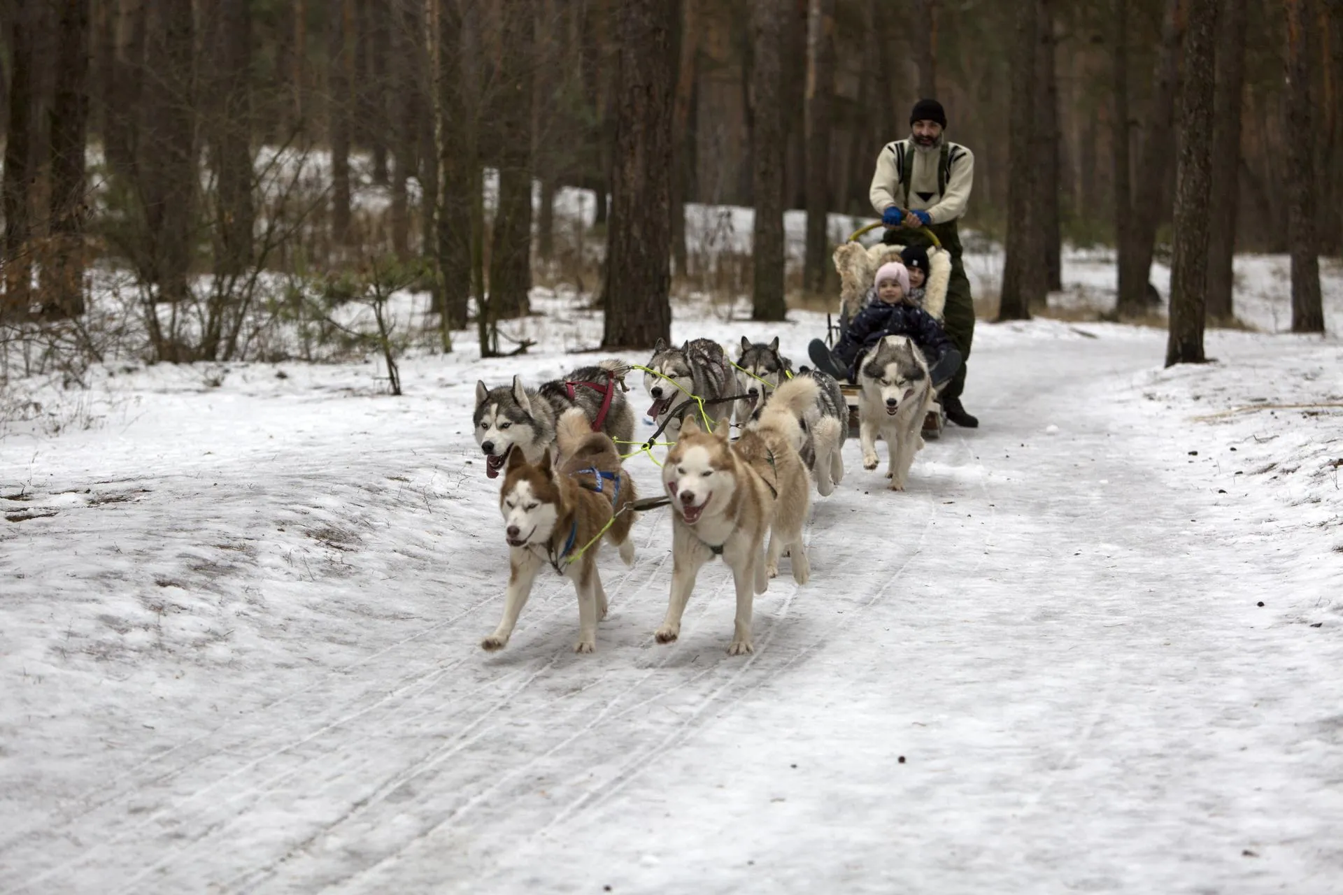 Nikolay Gyngazov/Global Look Press
