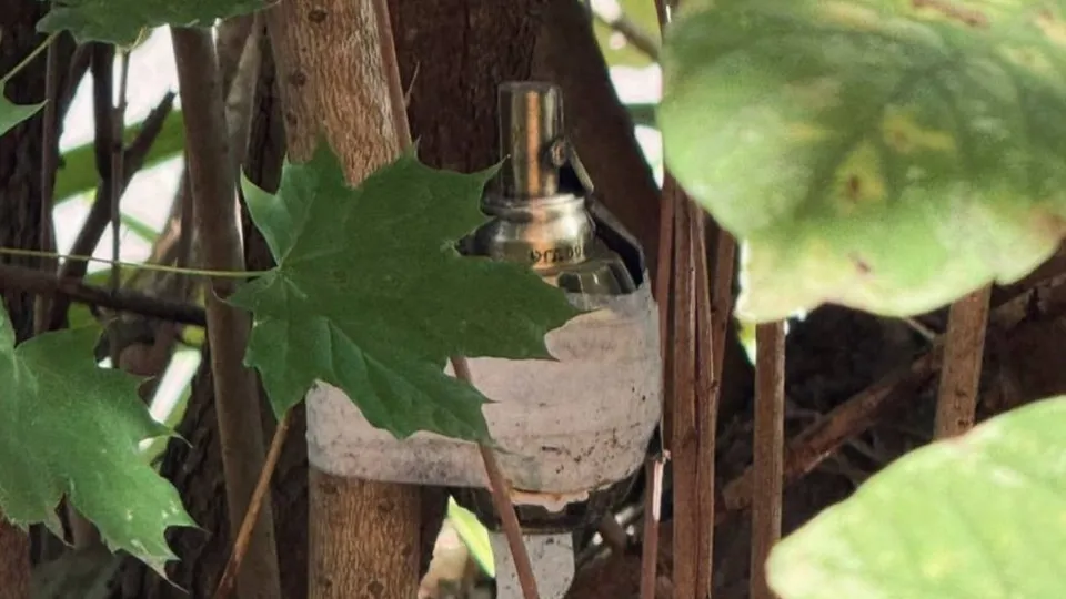 Фото: ГКУ МО «Мособлпожспас»