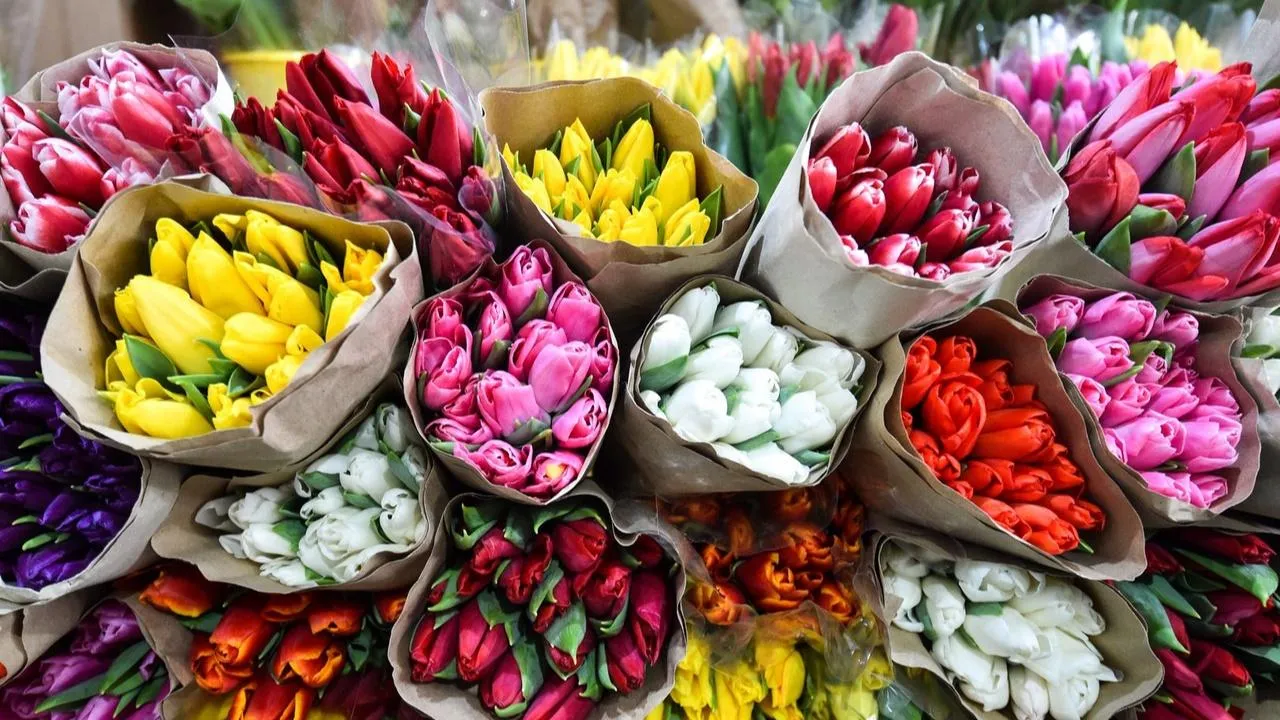 медиасток.рф