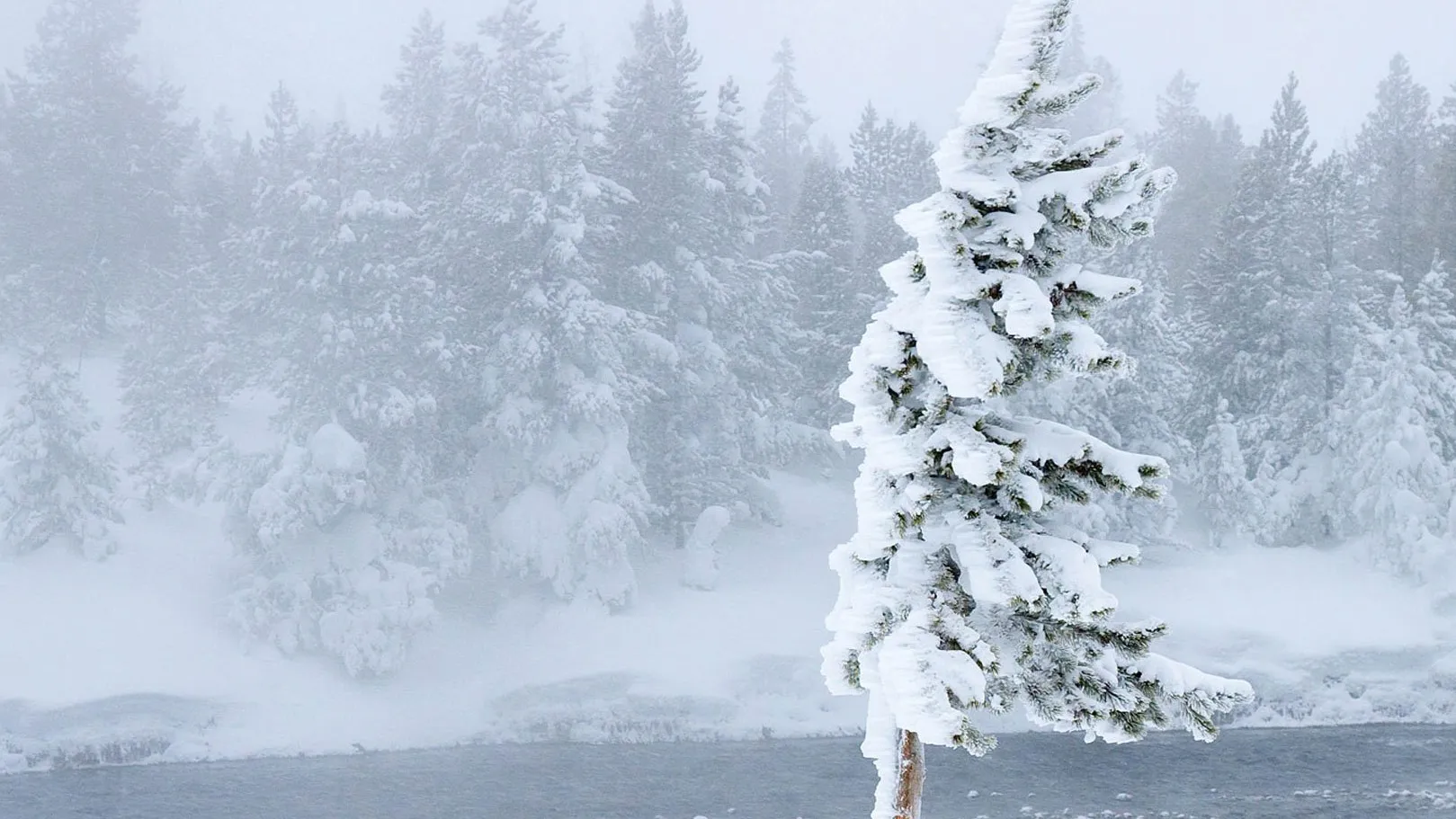 фото:.freepik.com