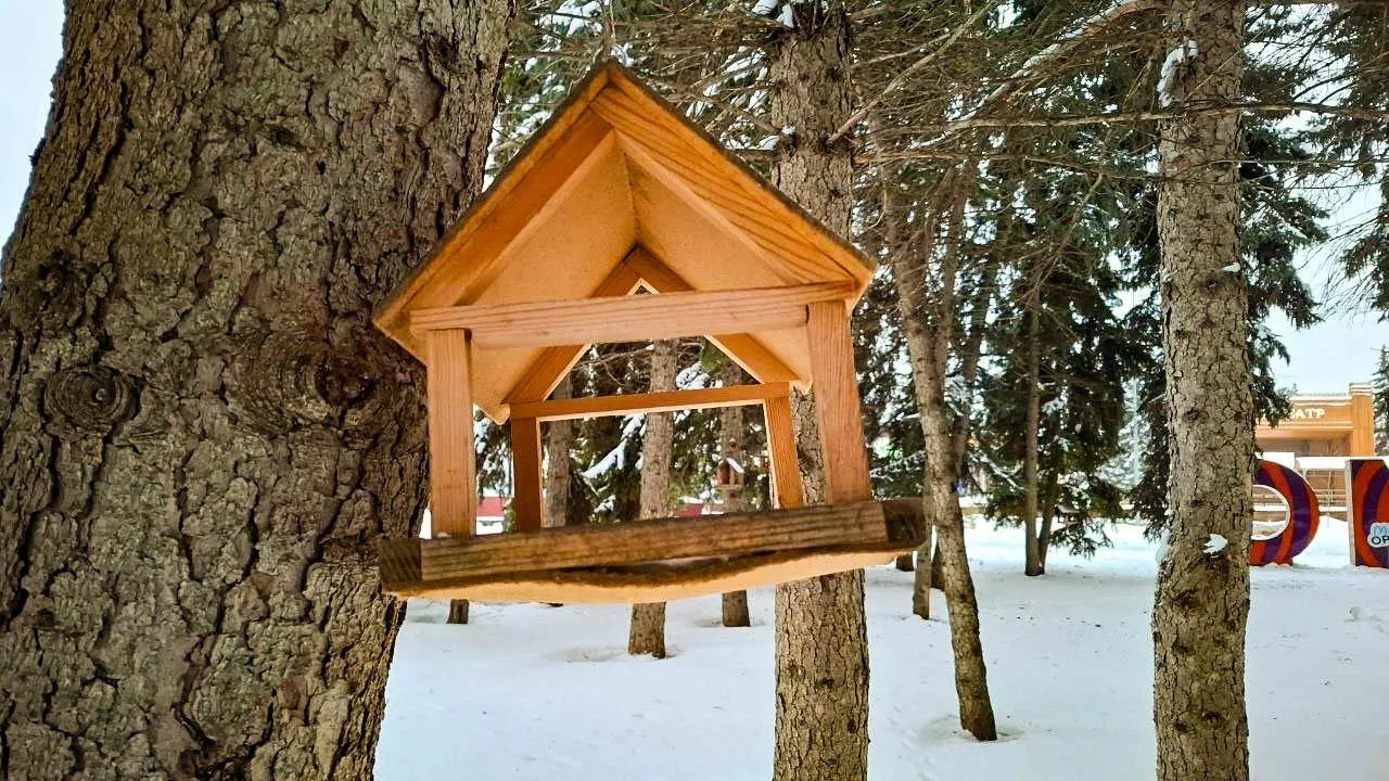 REGIONS/Юлия Габбасова