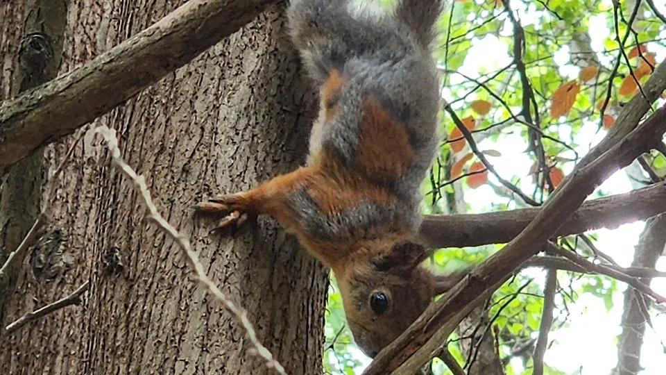 Фото: МедиаБанк Подмосковья/Роман Савельев