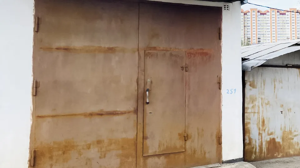 Фото: МедиаБанк Подмосковья/Анастасия Сараева