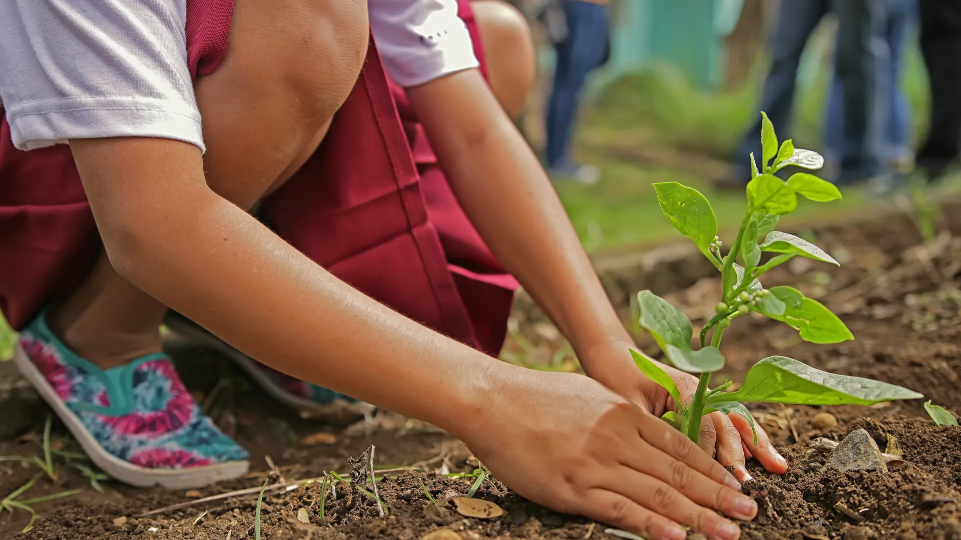 Фото: https://pxhere.com