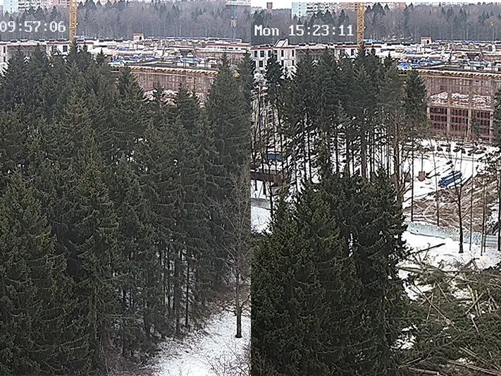 «Им на народ наплевать»: в Троицке активисты жалуются на вырубку леса