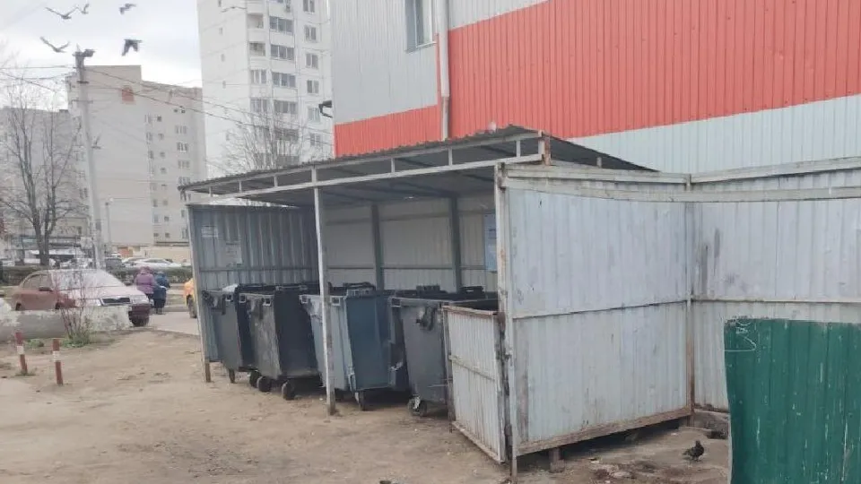 Фото: пресс-служба администрации г.о. Воскресенск