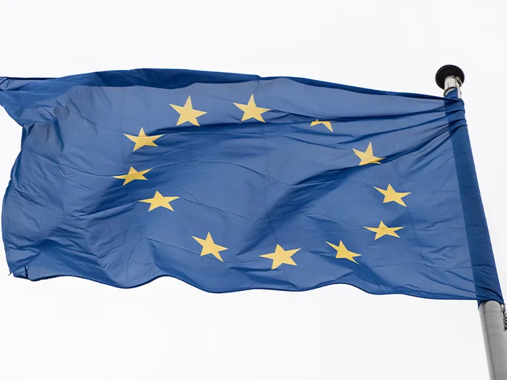 «Труженики» Евросоюза имитируют бурную деятельность в поддержку режима Зеленского – политолог