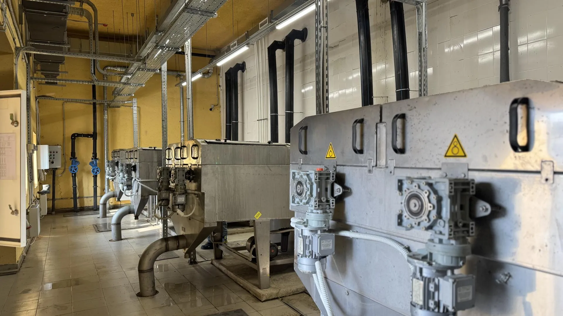 Полина Абраменко