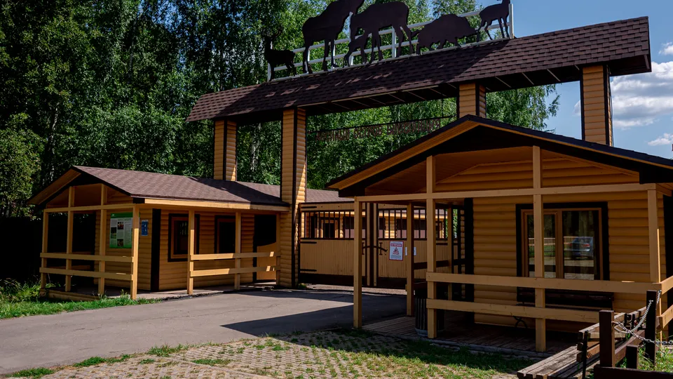 Фото: медиасток.рф