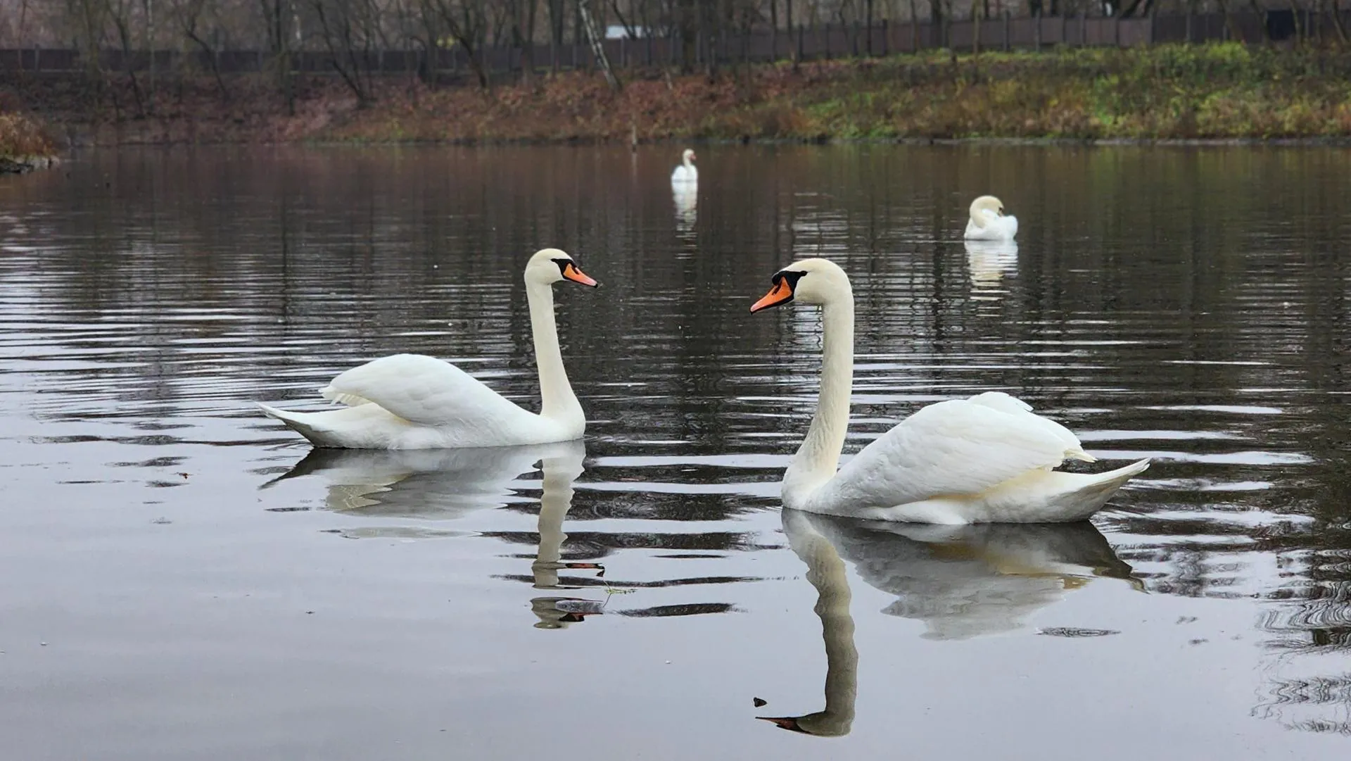 Медиабанк Подмосковья/Валерия Тингаева