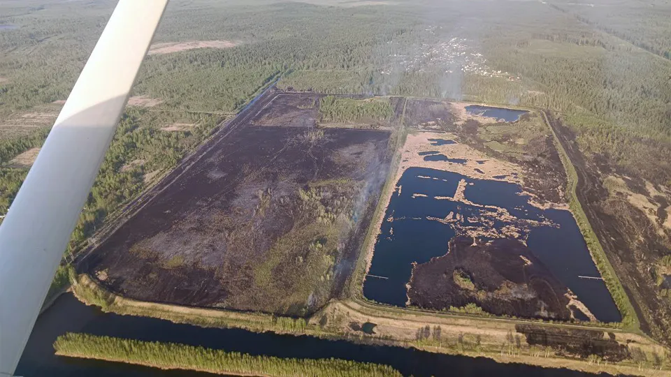 Фото: пресс-служба Комитета лесного хозяйства Московской области