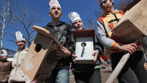 Скворечники, изготовленные из главной елки страны, украсят леса Подмосковья