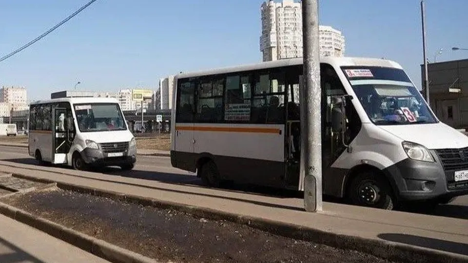 Фото: администрация городского округа Котельники