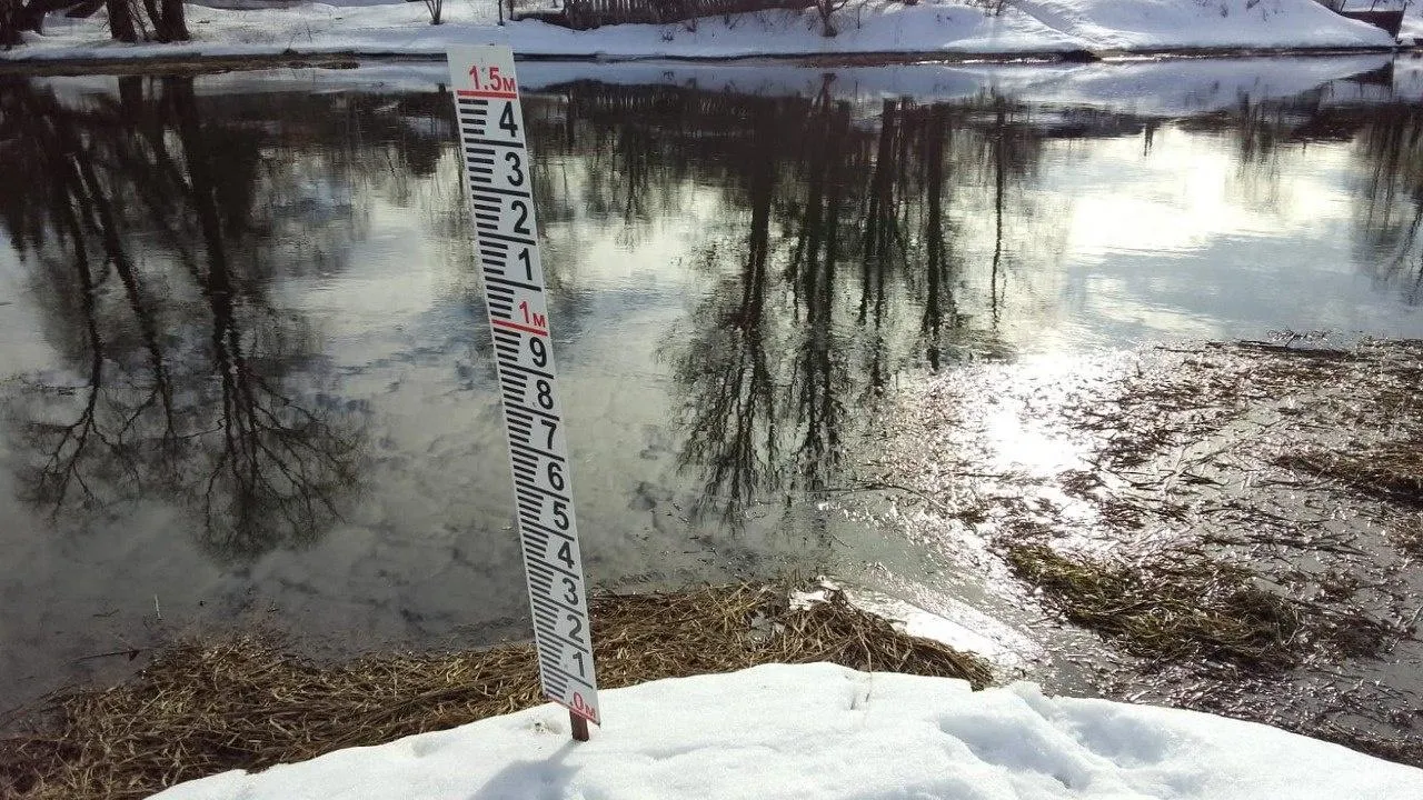 Медиабанк Подмосковья/Яна Шаливская