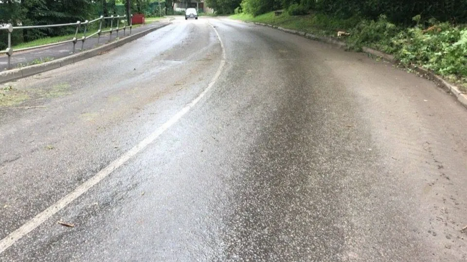 Фото: пресс-служба администрации г.о. Лыткарино