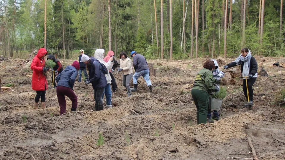 Фото: REGIONS/Василий Тремасов
