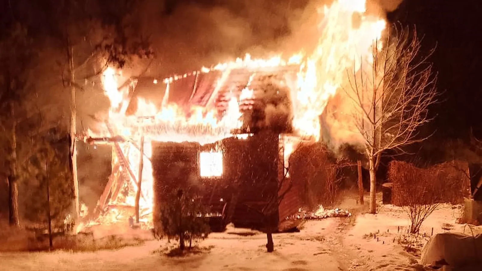 Фото: ГКУ МО «Мособлпожспас»