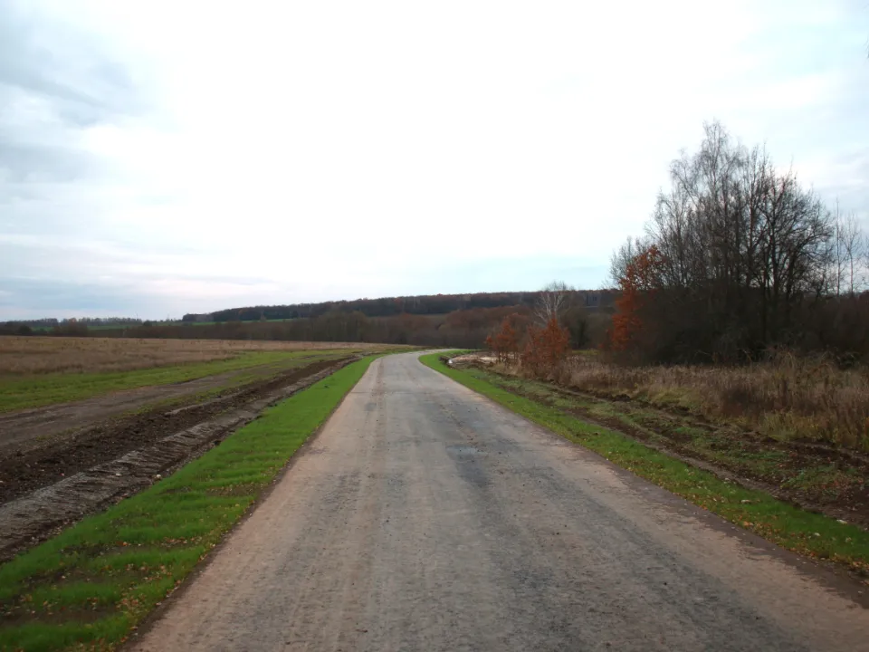 Фото: пресс-служба администрации м.о. Серебряные Пруды