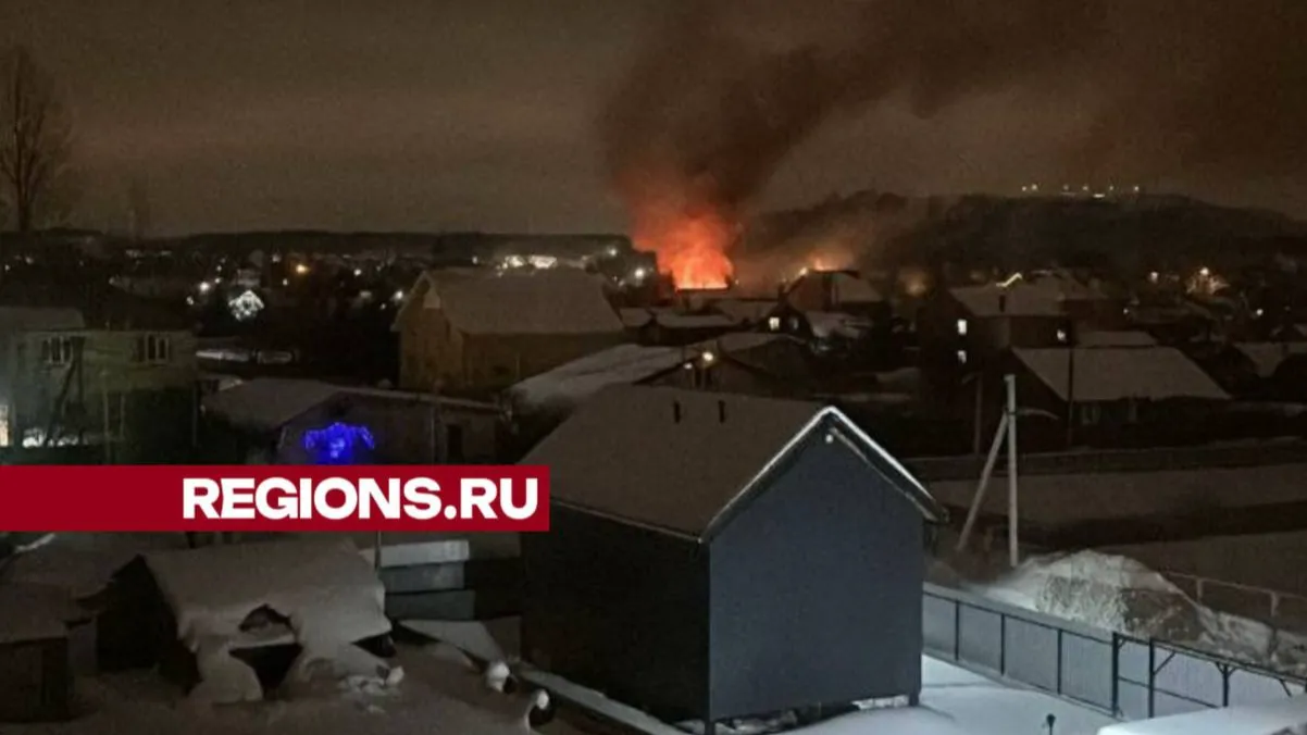 Фото: телеграм-канал @rusavkino_romanovo