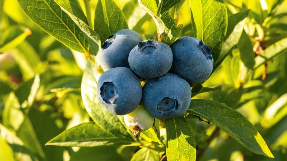 Фото: unsplash.com