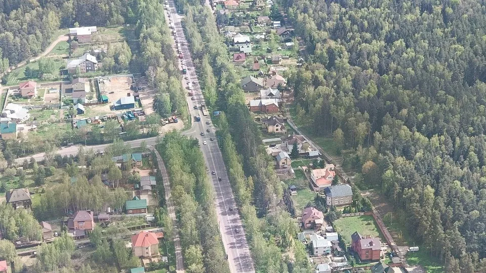 Фото: Комитет лесного хозяйства  Московской области