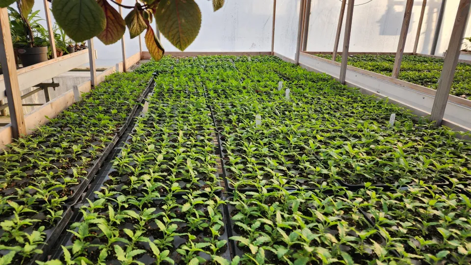 Фото: Дмитрий Алексеенко