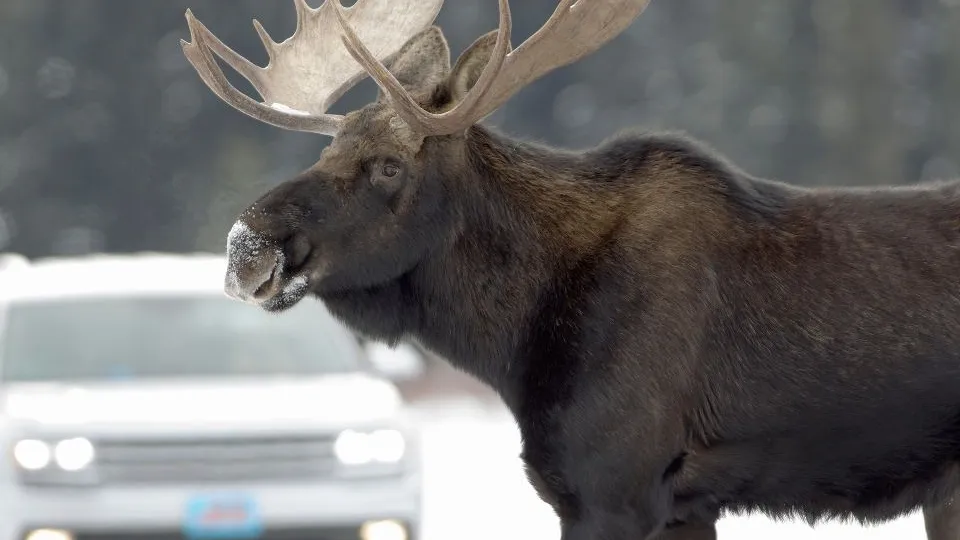 Фото: istockphoto.com