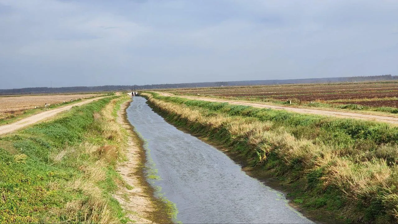 Евгений Рой