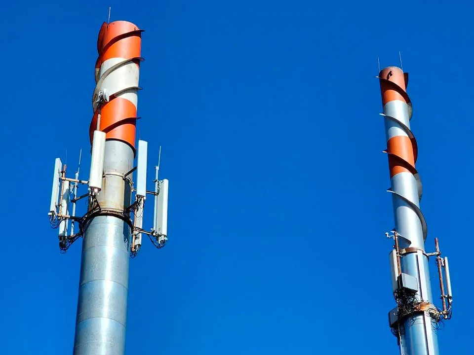 Фото: МедиаБанк Подмосковья/Валентина Максимова&nbsp;