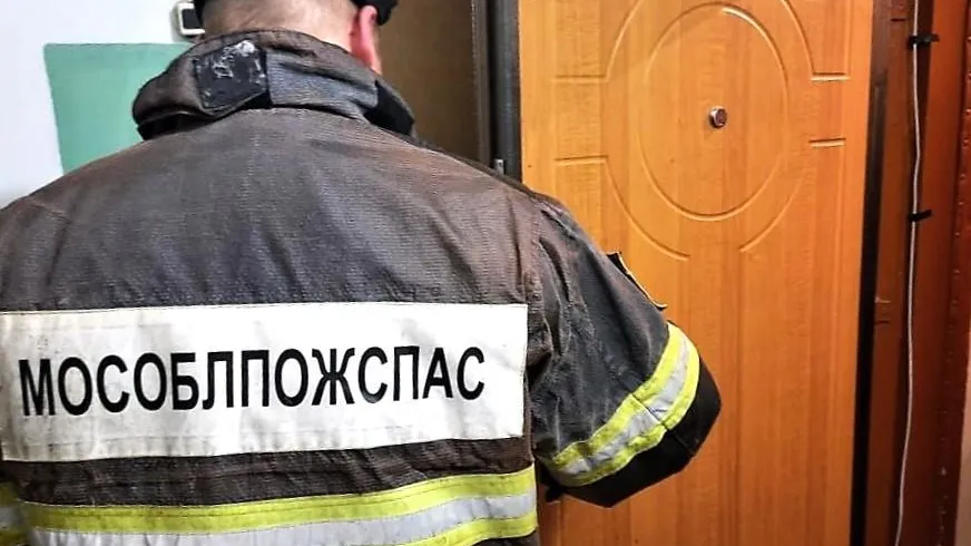 Подмосковные спасатели пришли на помощь малышу
