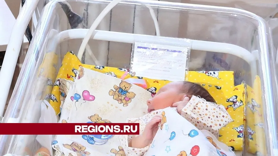 Фото: Александр Дрожжин