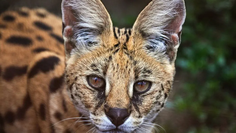 Фото: РИА Новости