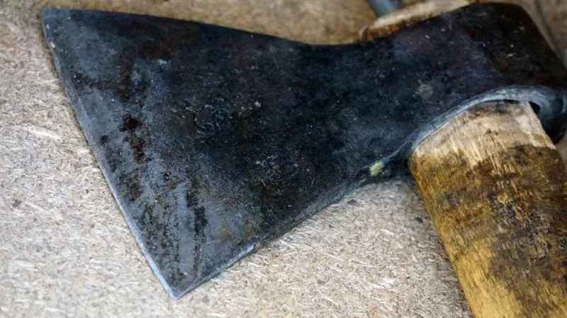 Отсидевшая за убийство мужа жительница Тюмени зарубила свою дочь