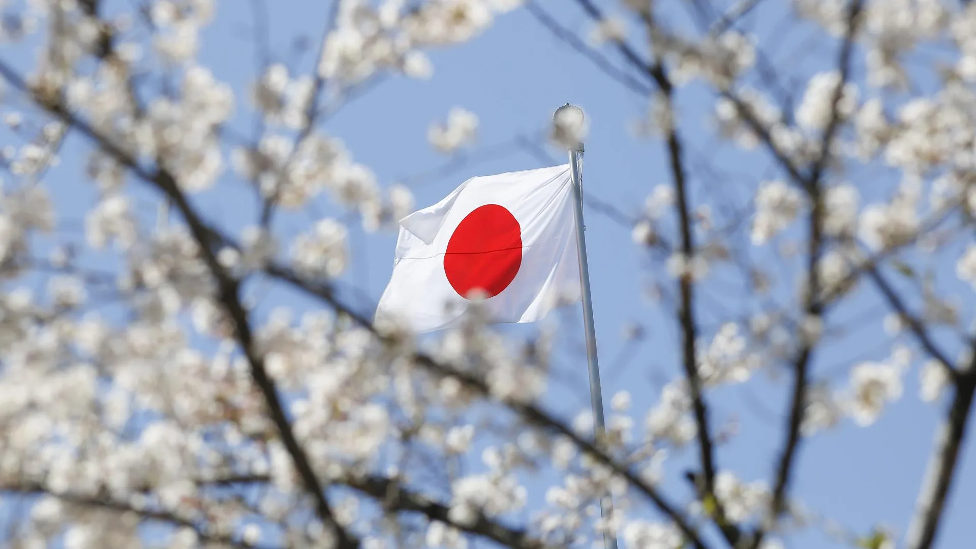 Rodrigo Reyes Marin/AFLO