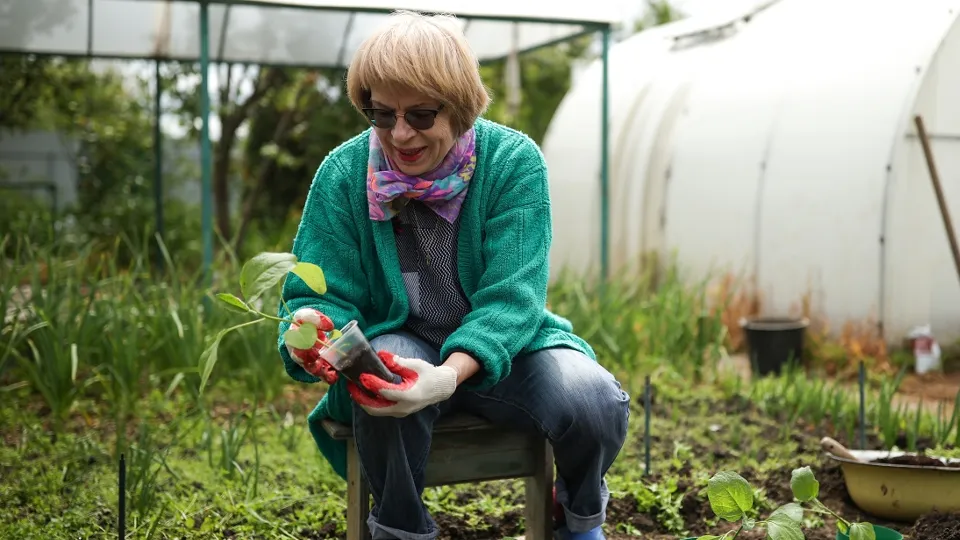 Фото: РИА Новости/Виталий Тимкив