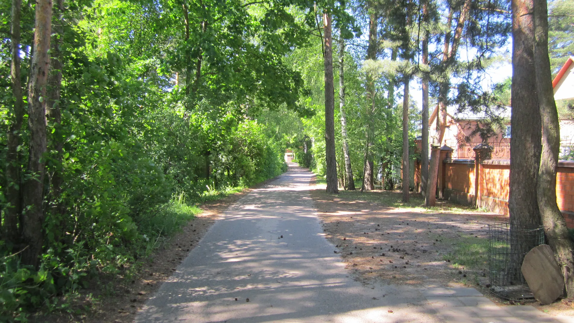 Фото: Олег Книжник