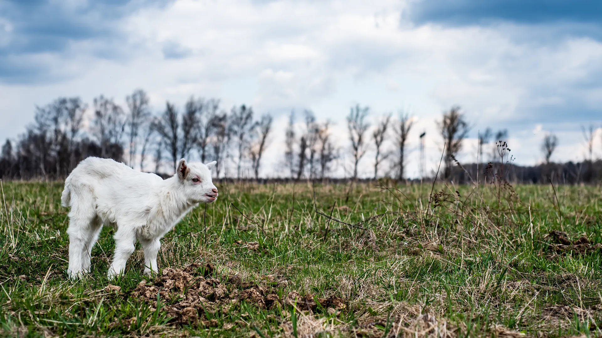 медиасток.рф