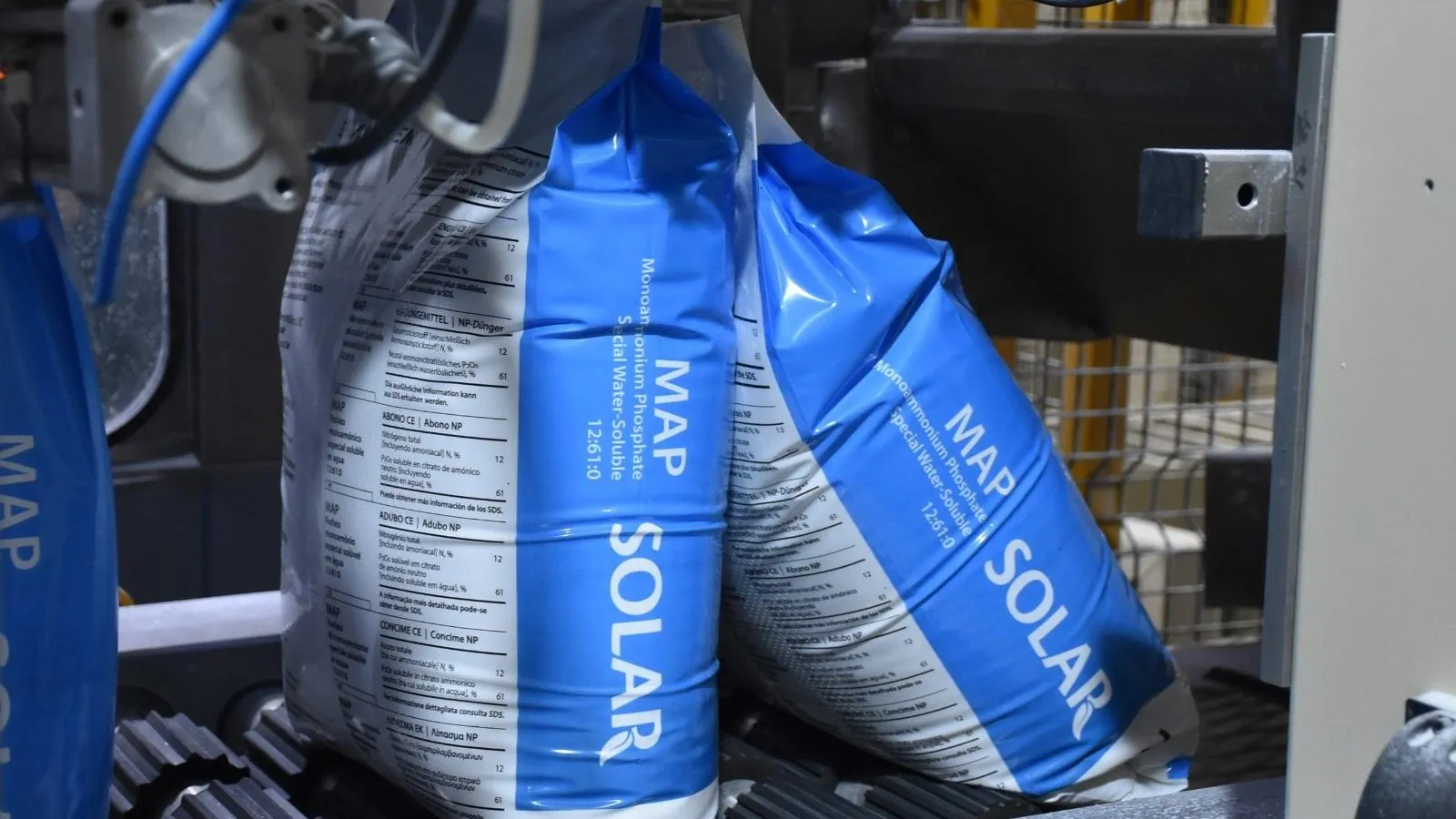 Фото: пресс-служба администрации г.о. Воскресенск