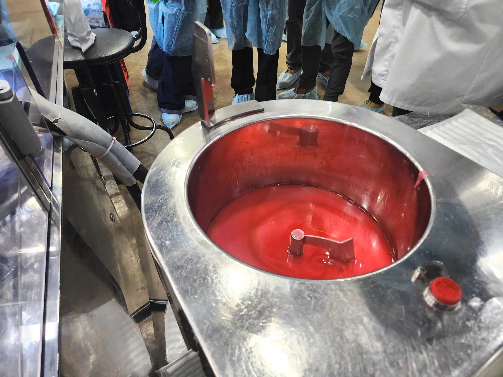 REGIONS/Полина Пахомова