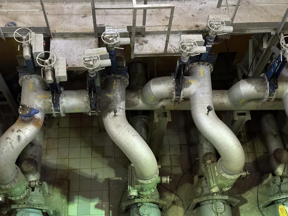 Фото: Полина Абраменко