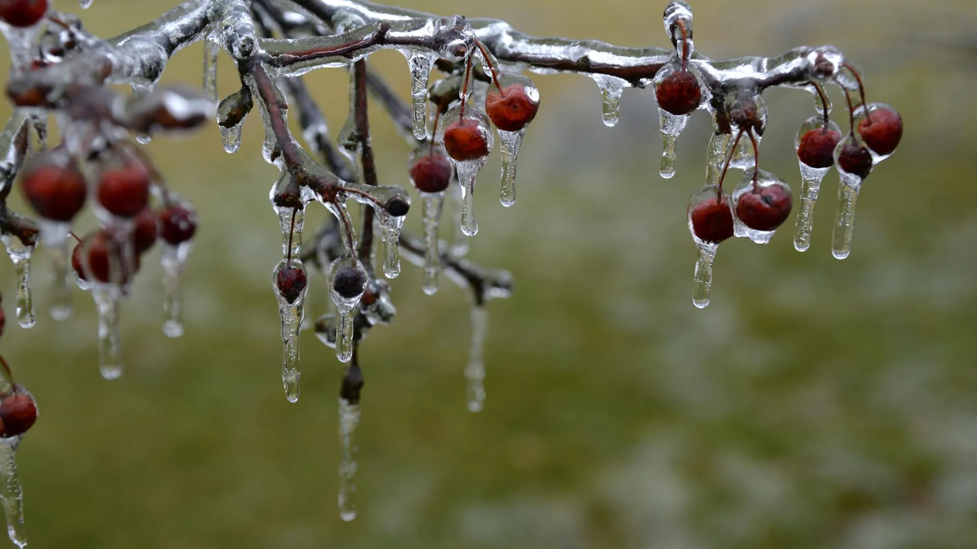 Фото: unsplash.com