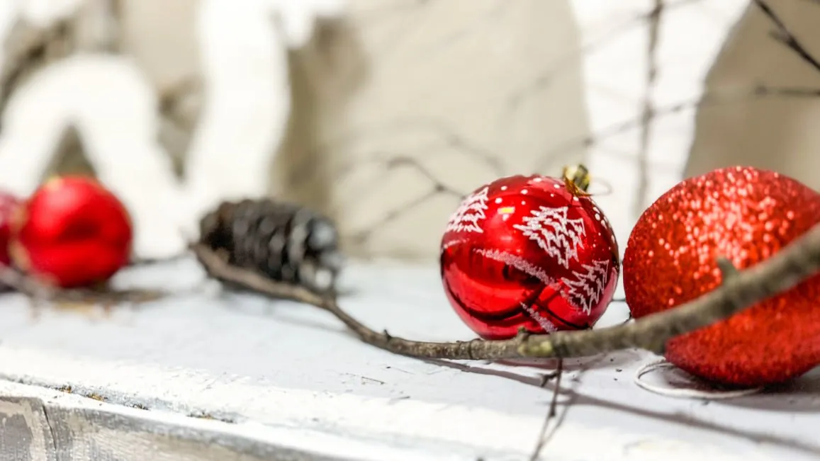 Фото: пресс-служба администрации г.о Красногорск