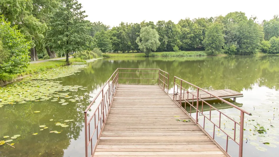 Фото: медиасток.рф