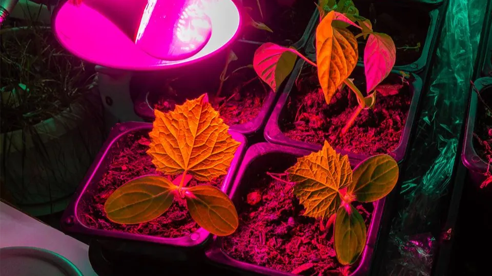 istockphoto.com/Дмитрий Коростылев