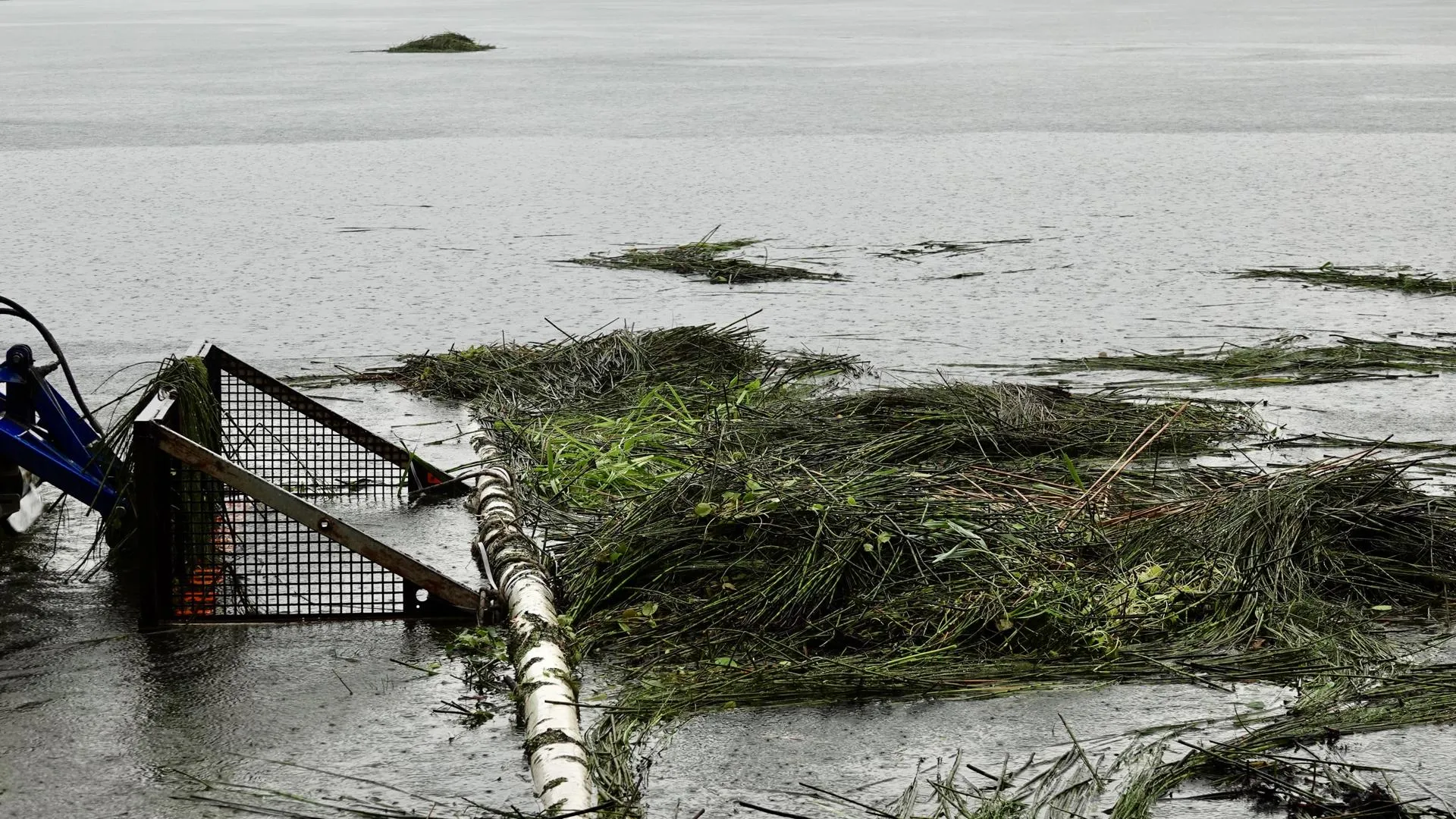 МедиаБанк Подмосковья/Дарья Леонова