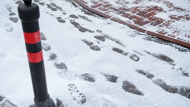 Фото: медиасток.рф