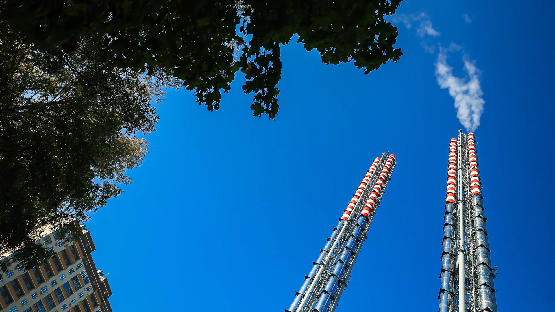 Фото: пресс-служба губернатора Московской области